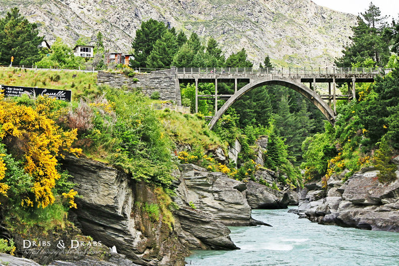紐西蘭 NewZealand