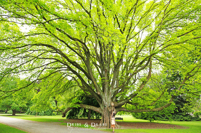 紐西蘭 NewZealand