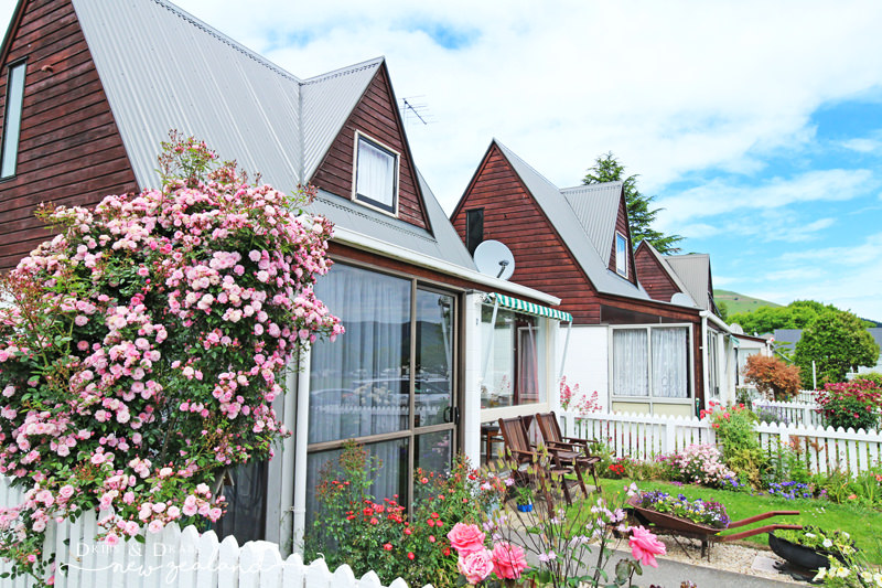 紐西蘭 NewZealand