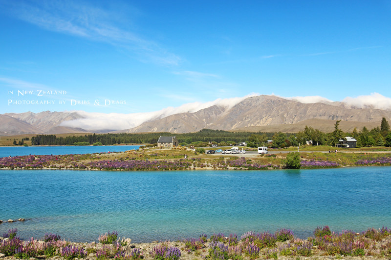 紐西蘭 NewZealand