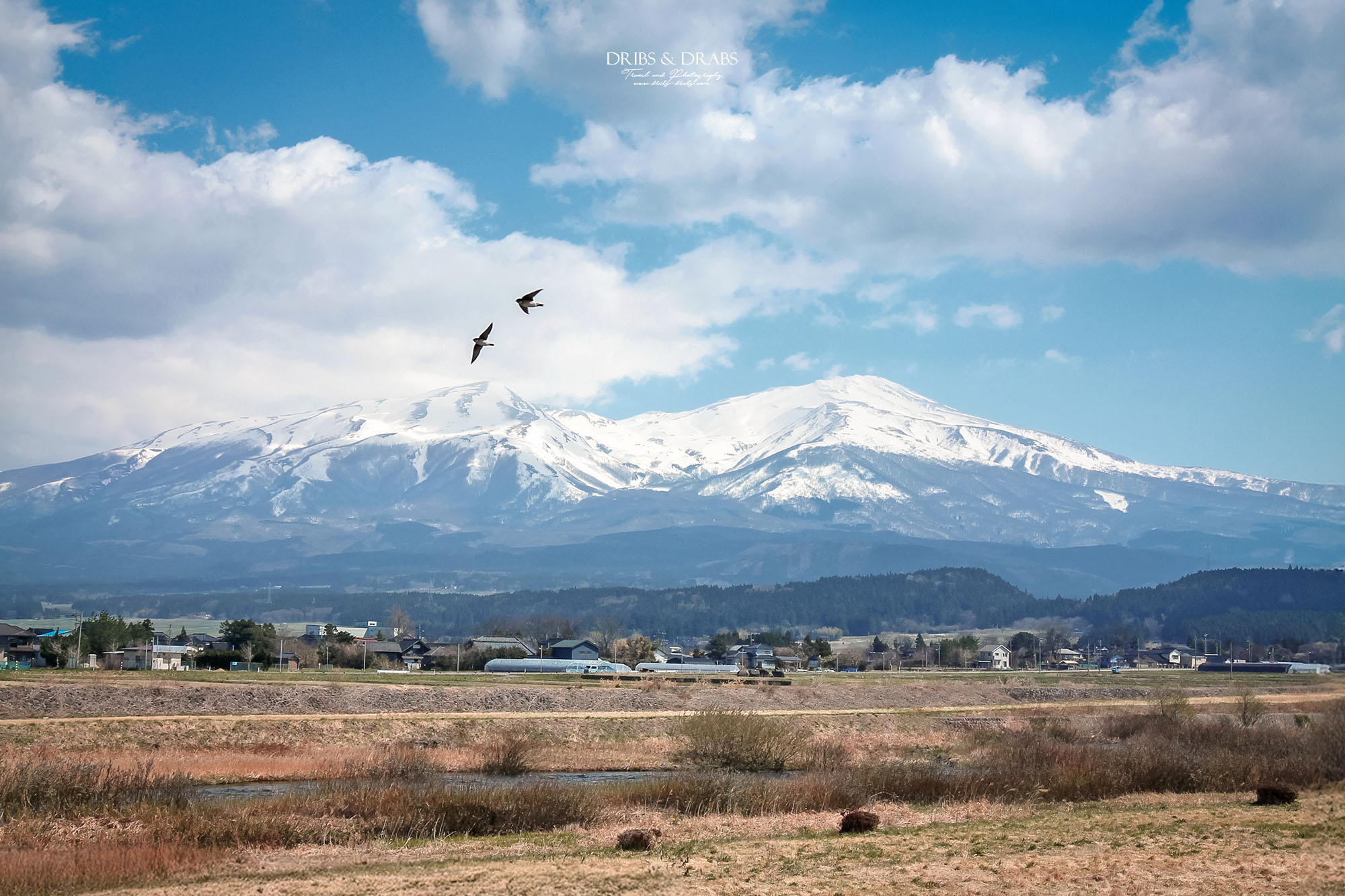 日本東北山形月光川河川公園，欣賞白皚皚鳥海山的絕佳地點，電影送行者經典畫面