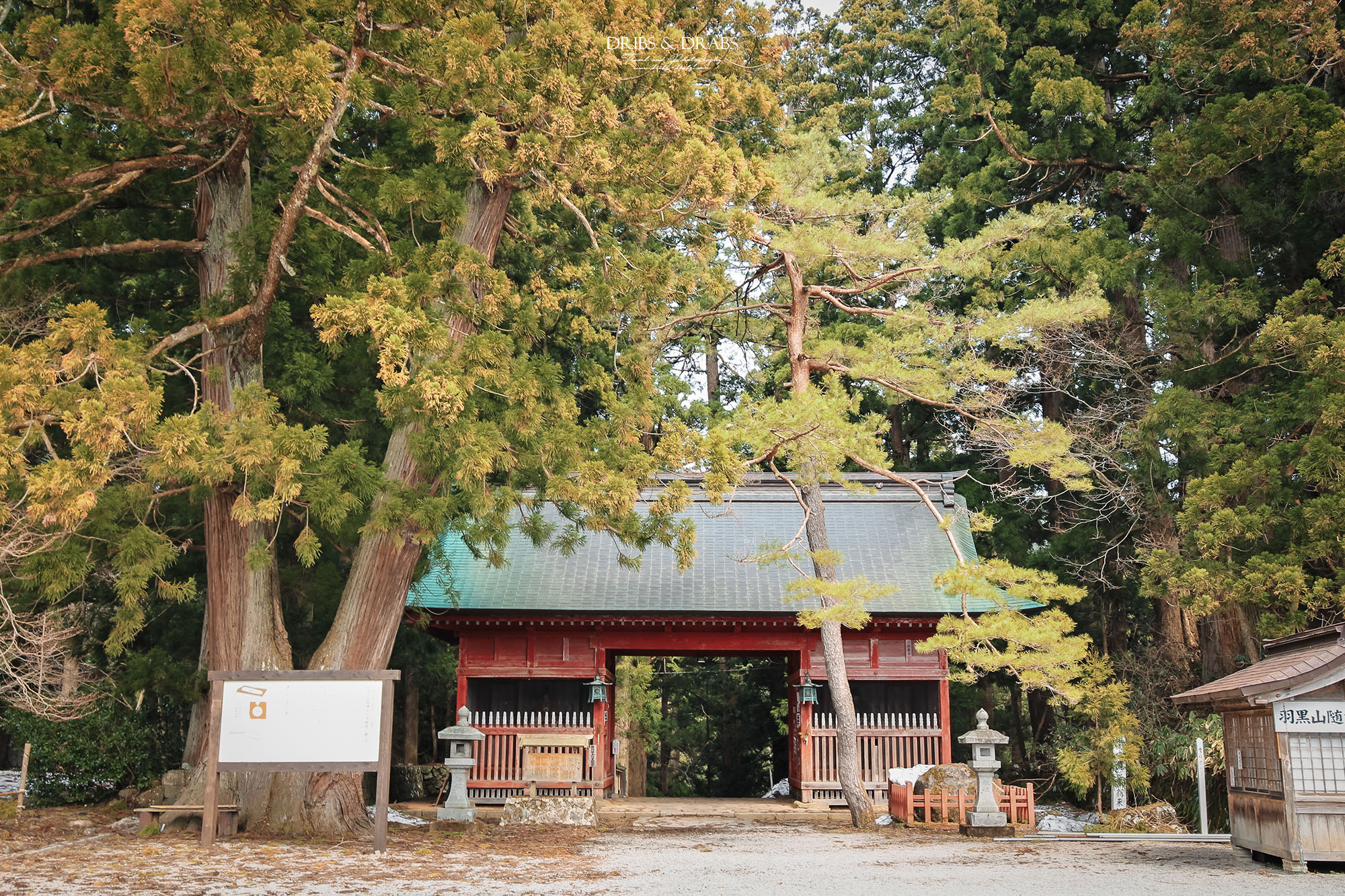 日本東北山形羽黑山五重塔｜出羽三山必訪國寶景點，雲霧杉林中的東北最古老木造佛塔與修驗道聖地