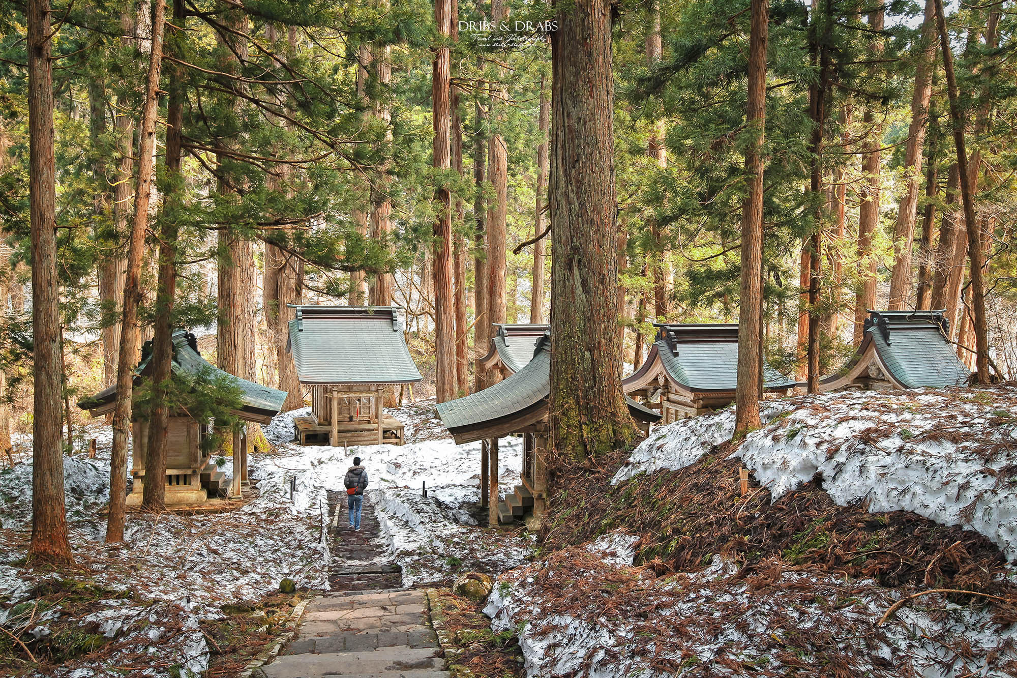 日本東北山形羽黑山五重塔｜出羽三山必訪國寶景點，雲霧杉林中的東北最古老木造佛塔與修驗道聖地
