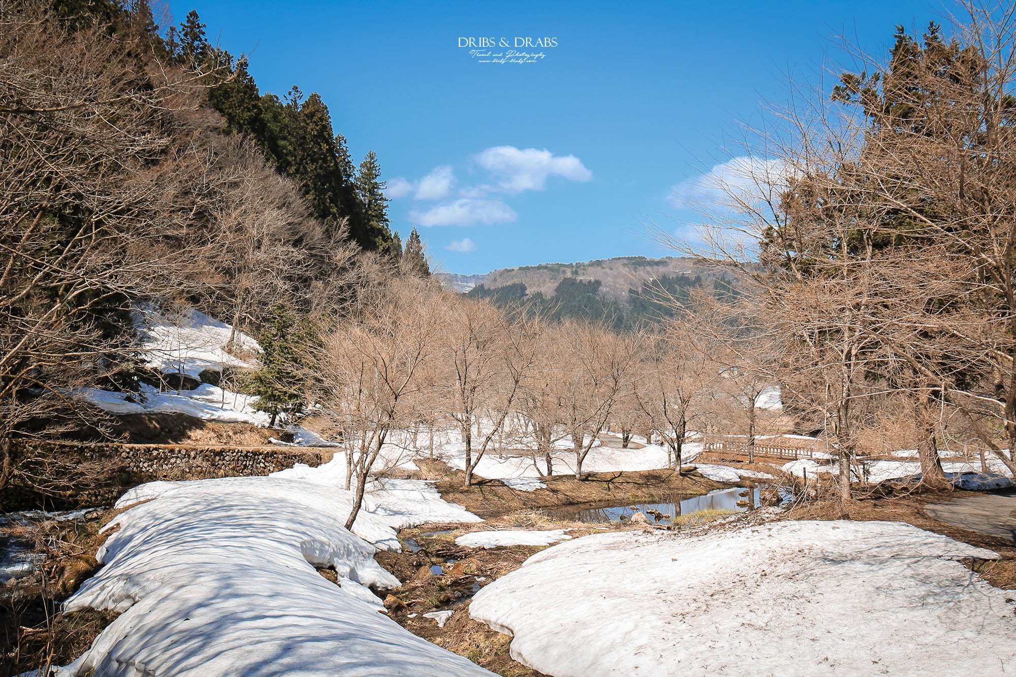 山形縣最大級瀑布｜玉簾瀑布（玉簾の滝）仙境美景：63公尺垂落的夢幻水幕，宛如走進霧氣中的秘境世界