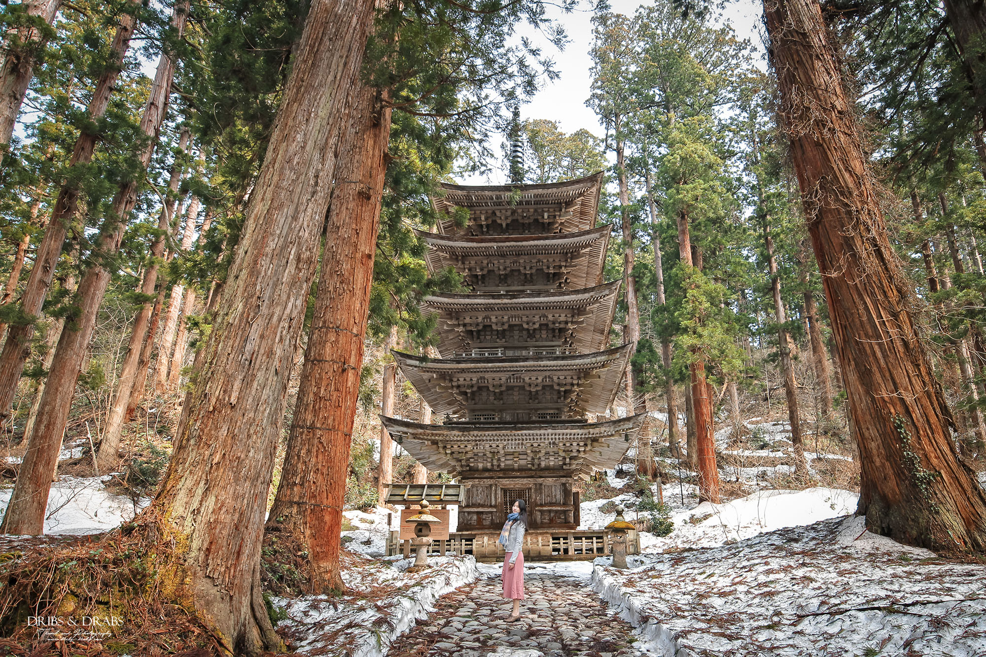 日本東北山形羽黑山五重塔｜出羽三山必訪國寶景點，雲霧杉林中的東北最古老木造佛塔與修驗道聖地