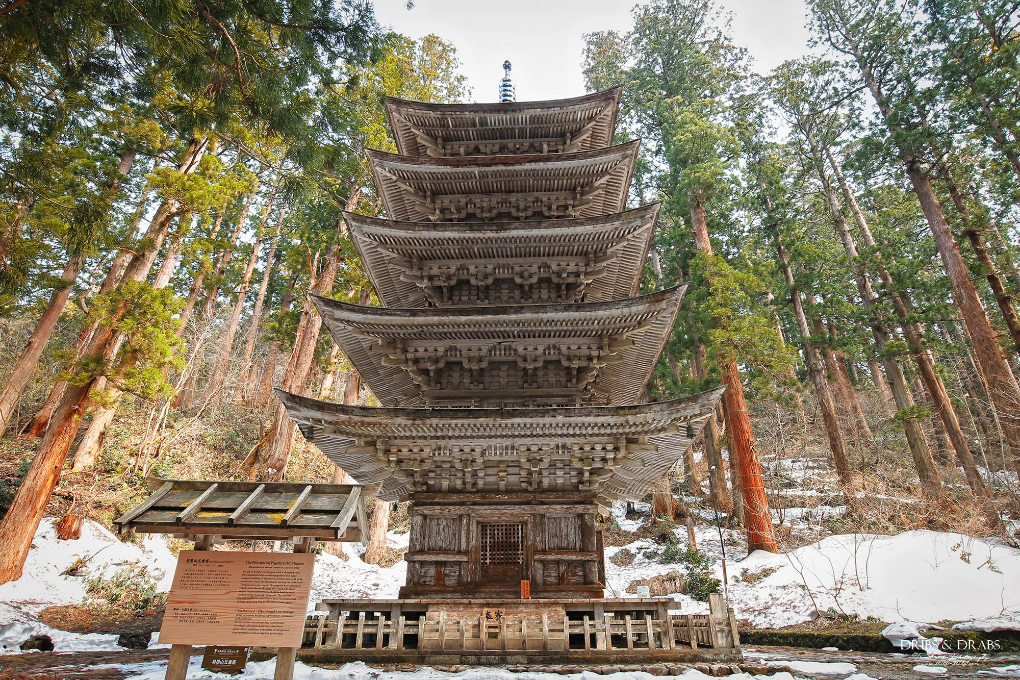 日本東北山形羽黑山五重塔｜出羽三山必訪國寶景點，雲霧杉林中的東北最古老木造佛塔與修驗道聖地