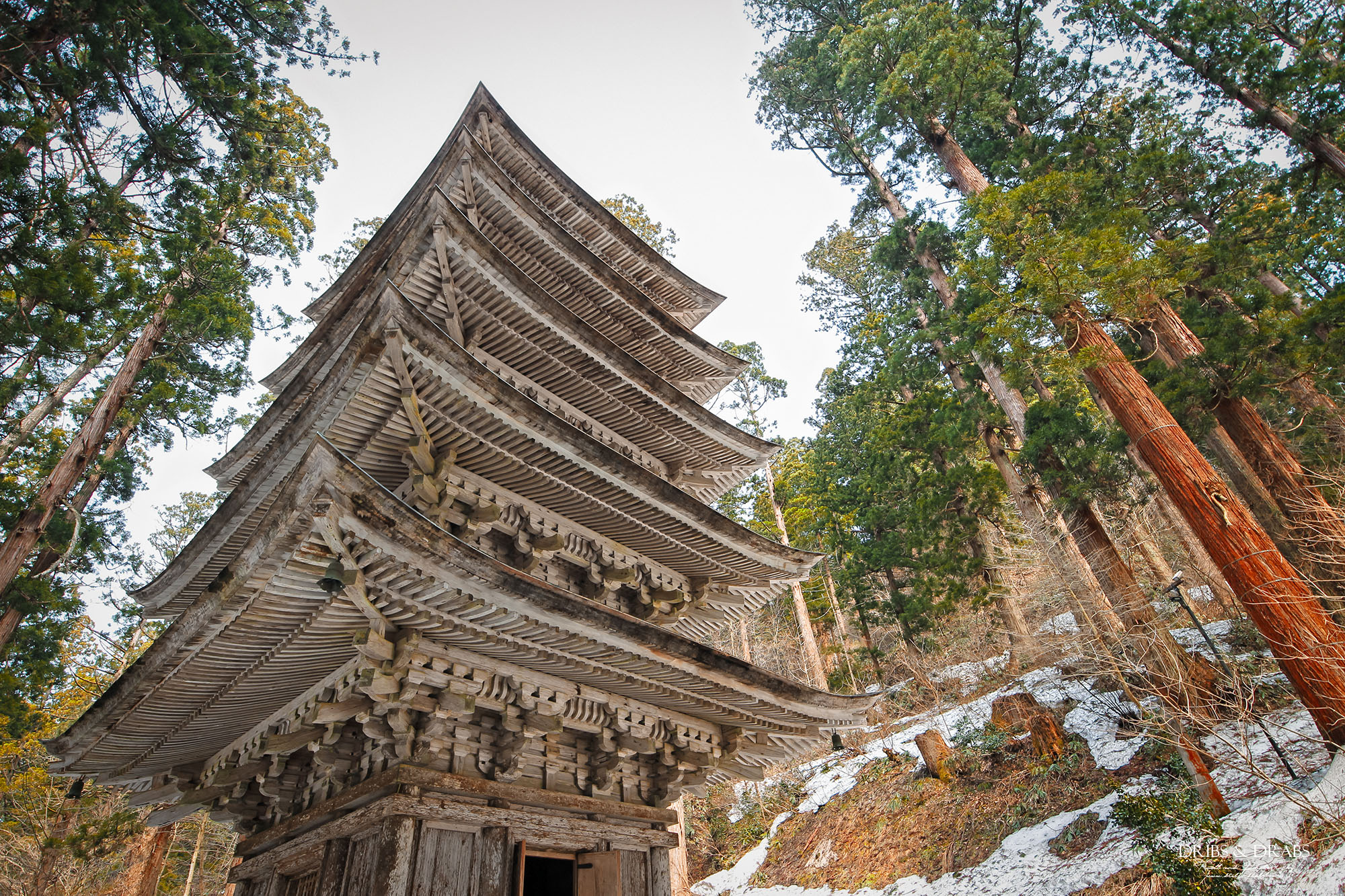 日本東北山形羽黑山五重塔｜出羽三山必訪國寶景點，雲霧杉林中的東北最古老木造佛塔與修驗道聖地