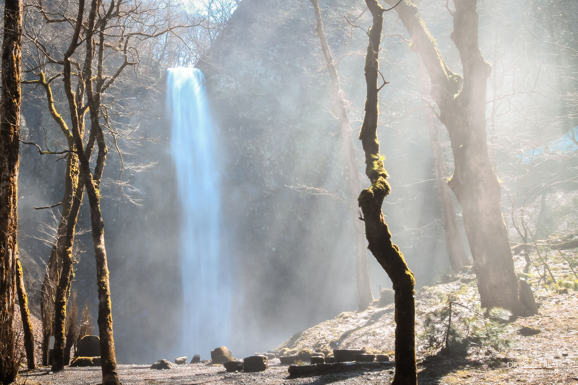 山形縣最大級瀑布｜玉簾瀑布（玉簾の滝）仙境美景：63公尺垂落的夢幻水幕，宛如走進霧氣中的秘境世界