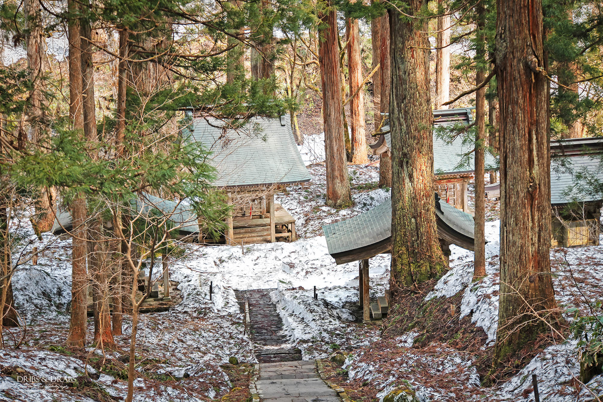 日本東北山形羽黑山五重塔｜出羽三山必訪國寶景點，雲霧杉林中的東北最古老木造佛塔與修驗道聖地