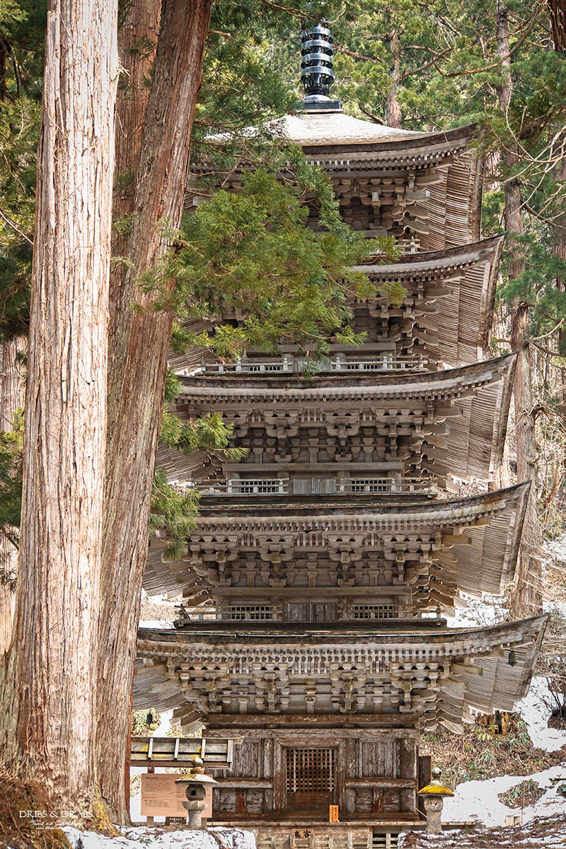日本東北山形羽黑山五重塔｜出羽三山必訪國寶景點，雲霧杉林中的東北最古老木造佛塔與修驗道聖地