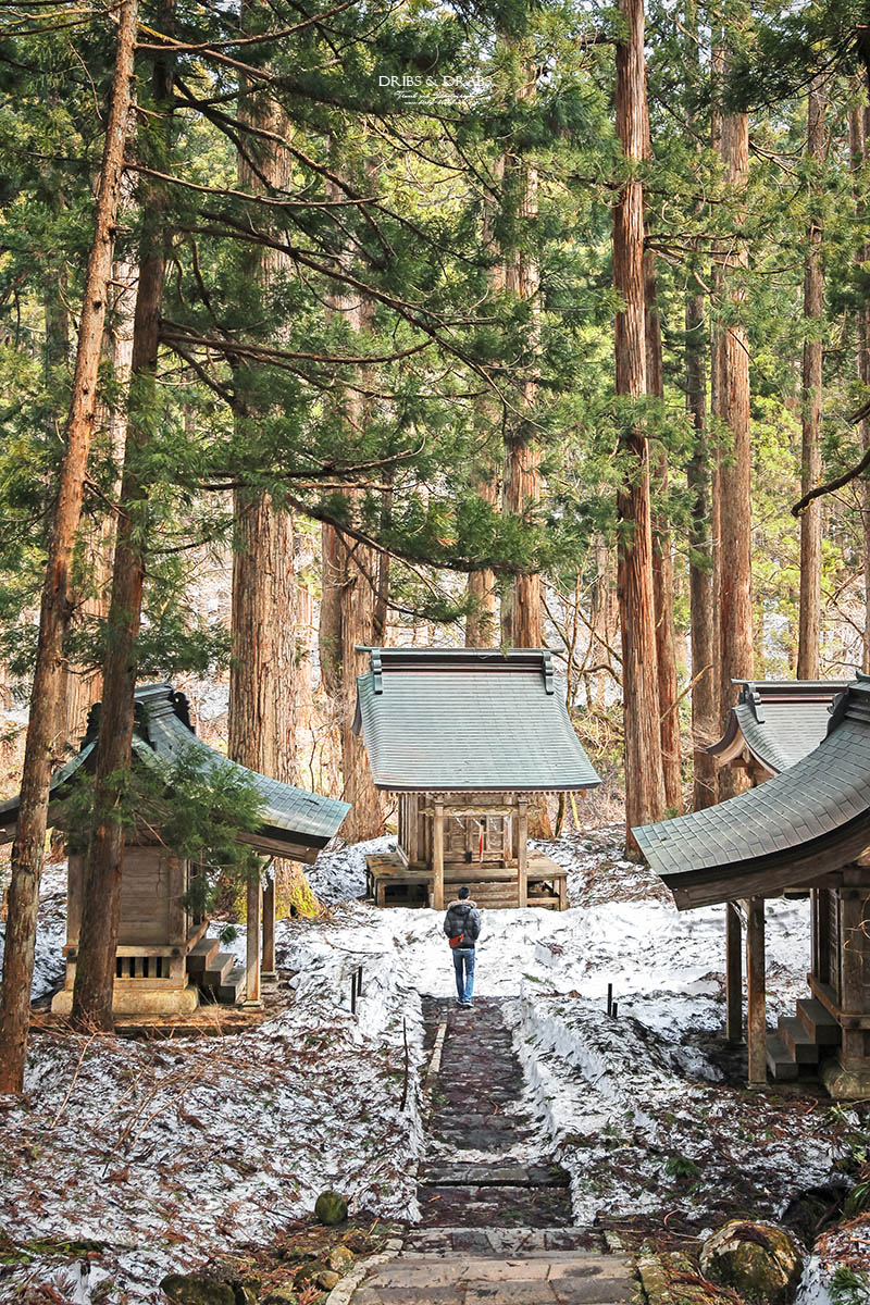 日本東北山形羽黑山五重塔｜出羽三山必訪國寶景點，雲霧杉林中的東北最古老木造佛塔與修驗道聖地