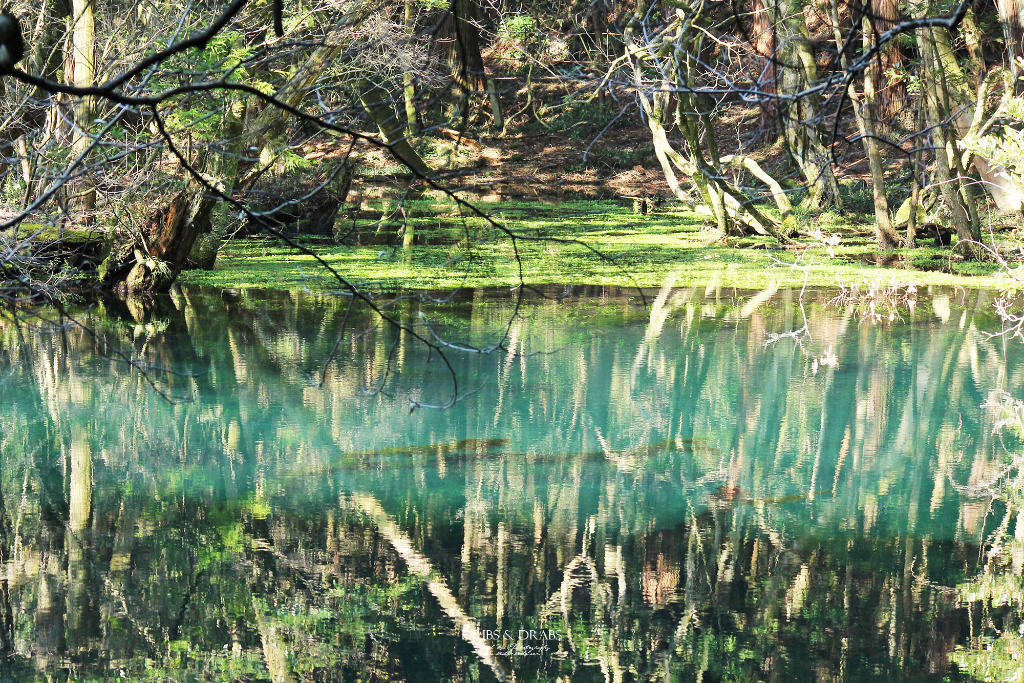 日本東北山形秘境「丸池樣」如綠寶石般閃耀的夢幻湧泉,日本東北必訪仙境景點 - 第13張圖 日本東北山形秘境「丸池樣」如綠寶石般閃耀的夢幻湧泉,日本東北必訪仙境景點