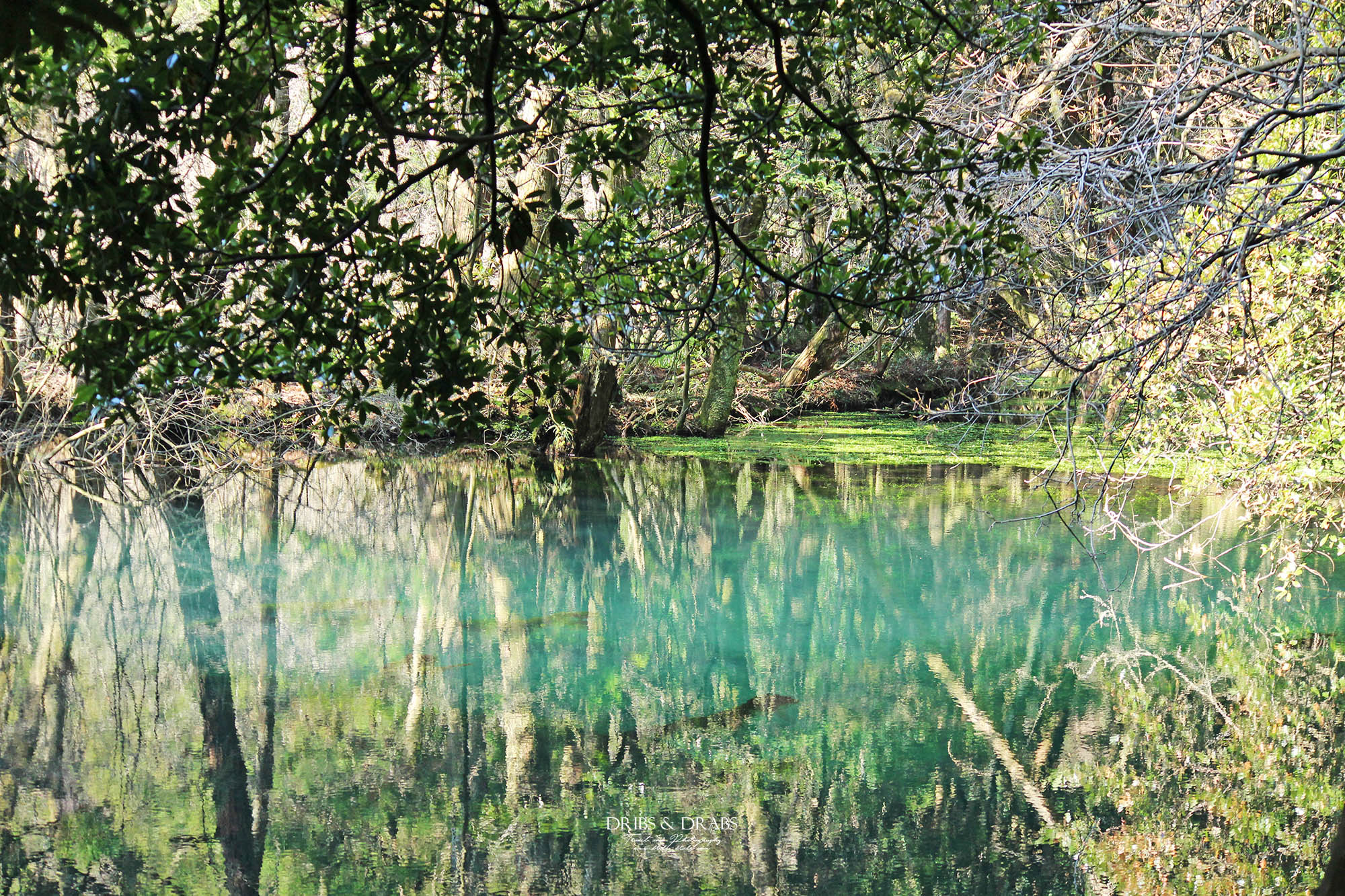 日本東北山形秘境「丸池樣」如綠寶石般閃耀的夢幻湧泉,日本東北必訪仙境景點 - 第10張圖 日本東北山形秘境「丸池樣」如綠寶石般閃耀的夢幻湧泉,日本東北必訪仙境景點