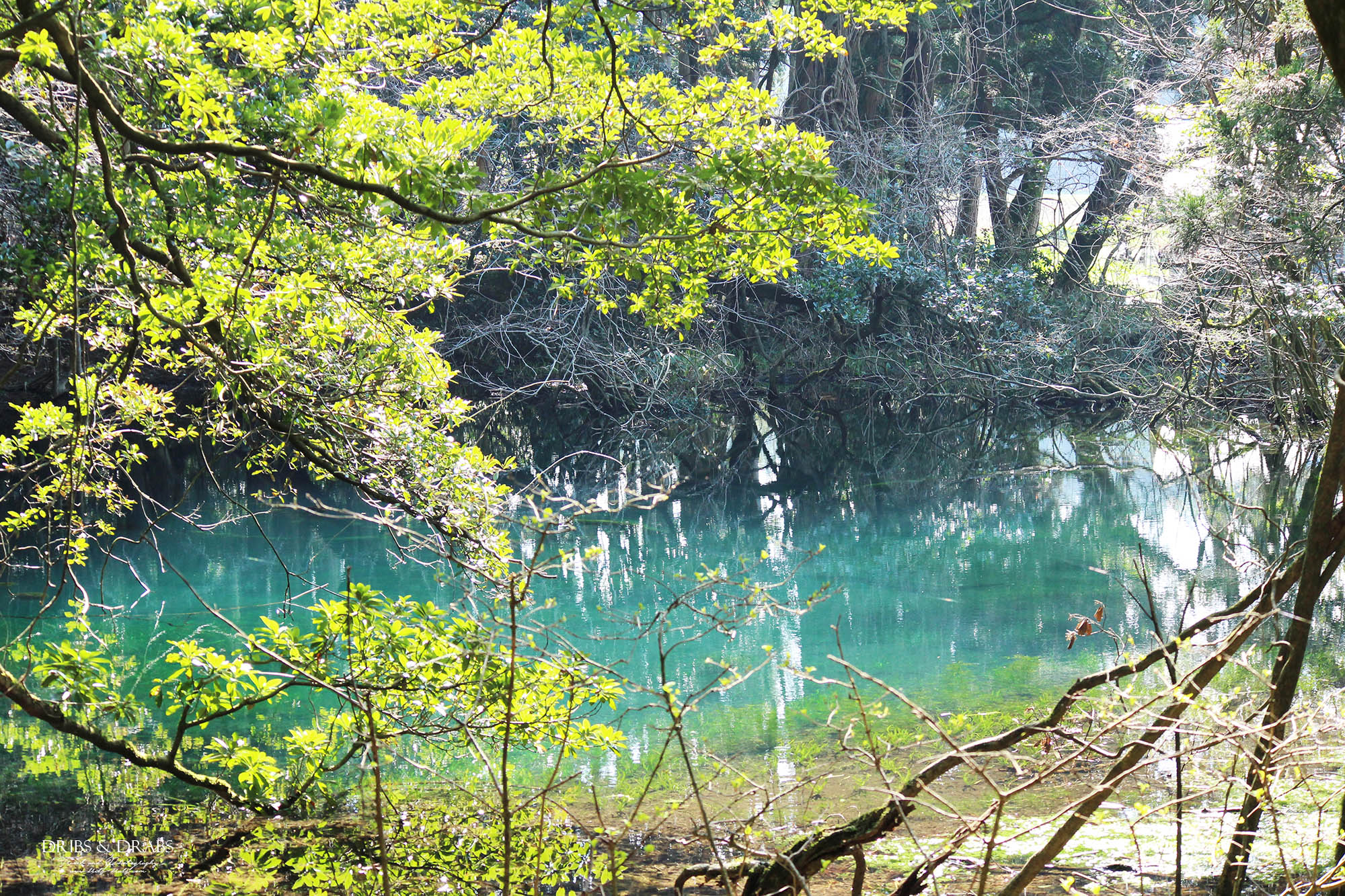 日本東北山形秘境「丸池樣」如綠寶石般閃耀的夢幻湧泉,日本東北必訪仙境景點 - 第20張圖 日本東北山形秘境「丸池樣」如綠寶石般閃耀的夢幻湧泉,日本東北必訪仙境景點