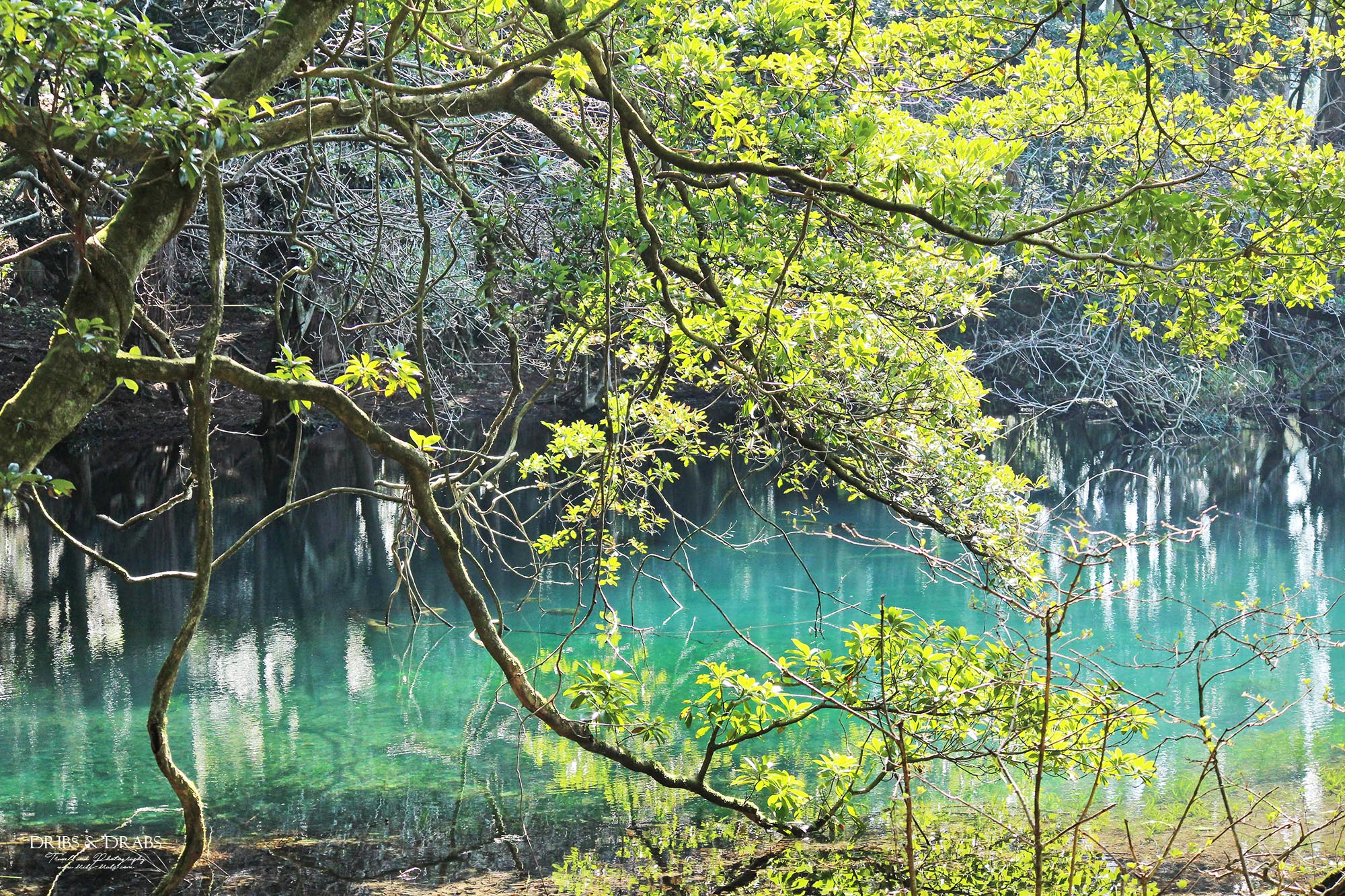 日本東北山形秘境「丸池樣」如綠寶石般閃耀的夢幻湧泉,日本東北必訪仙境景點 - 第21張圖 日本東北山形秘境「丸池樣」如綠寶石般閃耀的夢幻湧泉,日本東北必訪仙境景點