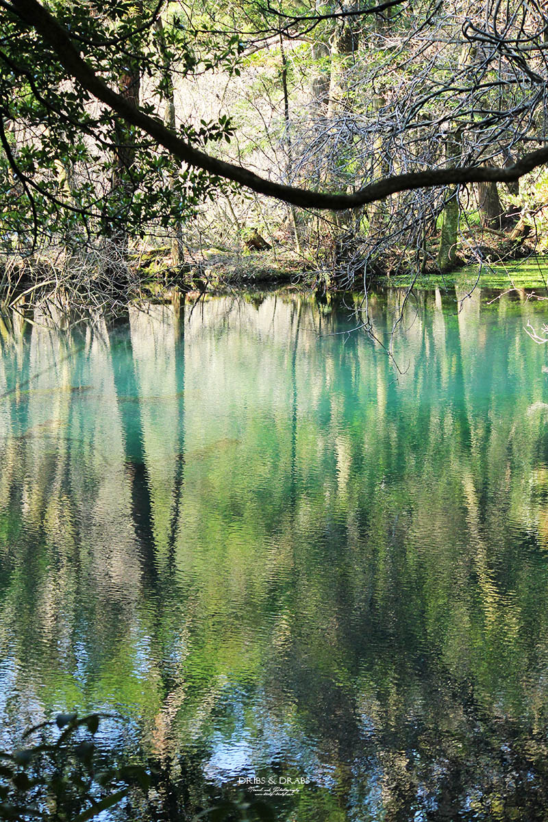 日本東北山形秘境「丸池樣」如綠寶石般閃耀的夢幻湧泉,日本東北必訪仙境景點 - 第4張圖 日本東北山形秘境「丸池樣」如綠寶石般閃耀的夢幻湧泉,日本東北必訪仙境景點