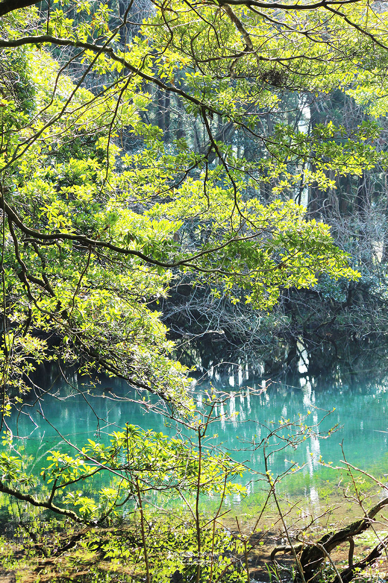 日本東北山形秘境「丸池樣」如綠寶石般閃耀的夢幻湧泉,日本東北必訪仙境景點 - 第23張圖 日本東北山形秘境「丸池樣」如綠寶石般閃耀的夢幻湧泉,日本東北必訪仙境景點