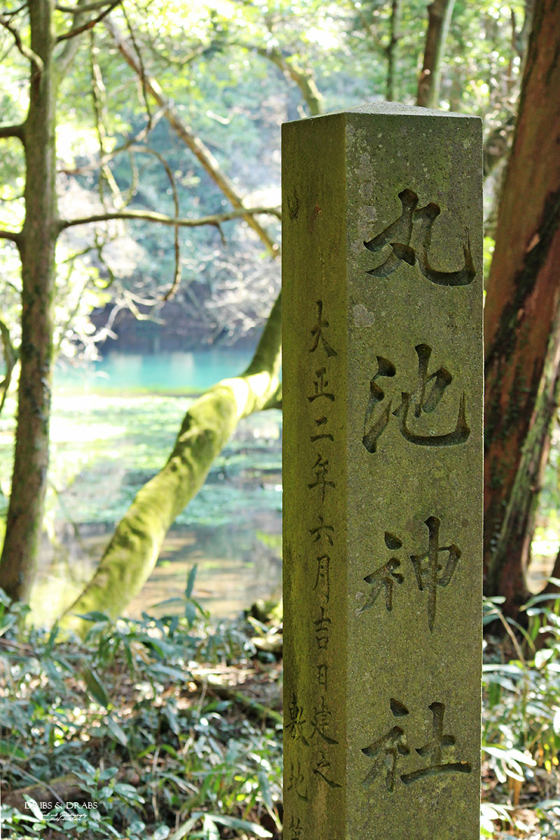 日本東北山形秘境「丸池樣」如綠寶石般閃耀的夢幻湧泉,日本東北必訪仙境景點 - 第5張圖 日本東北山形秘境「丸池樣」如綠寶石般閃耀的夢幻湧泉,日本東北必訪仙境景點