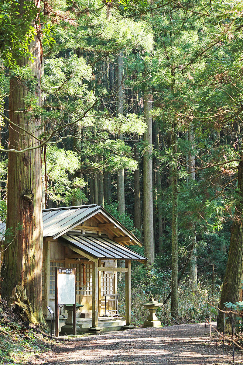 日本東北山形秘境「丸池樣」如綠寶石般閃耀的夢幻湧泉,日本東北必訪仙境景點 - 第3張圖 日本東北山形秘境「丸池樣」如綠寶石般閃耀的夢幻湧泉,日本東北必訪仙境景點