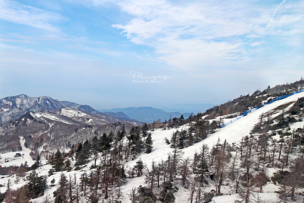 日本東北賞櫻自由行｜青森、秋田、山形、福島、宮城11日自駕行程推薦，春日櫻花季夢幻旅程
