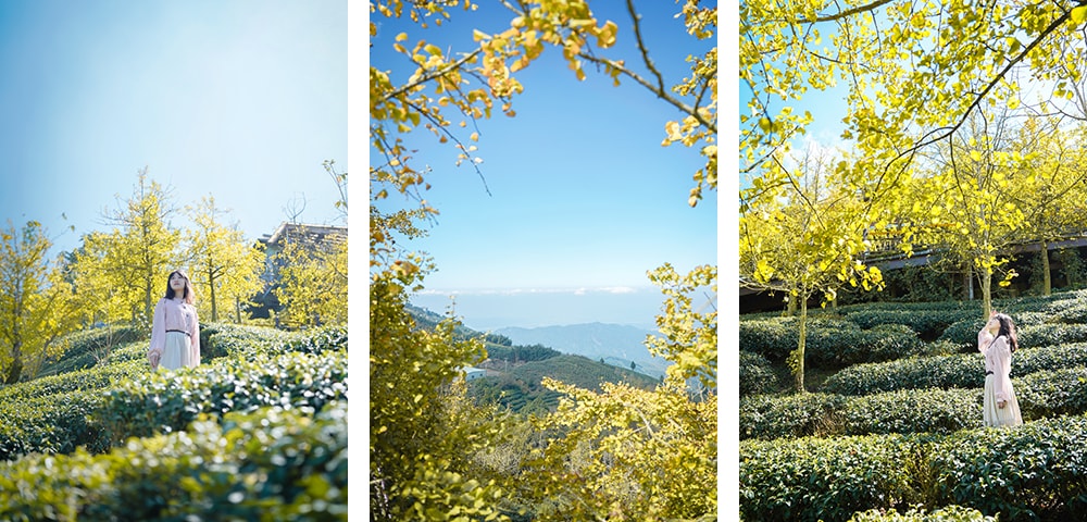 秋季輕旅行 / 十二種台灣秋季限定風景, 秋天旅遊推薦景點, 你蒐集了幾個呢? - 第14張圖 秋季輕旅行 / 十二種台灣秋季限定風景, 秋天旅遊推薦景點, 你蒐集了幾個呢?