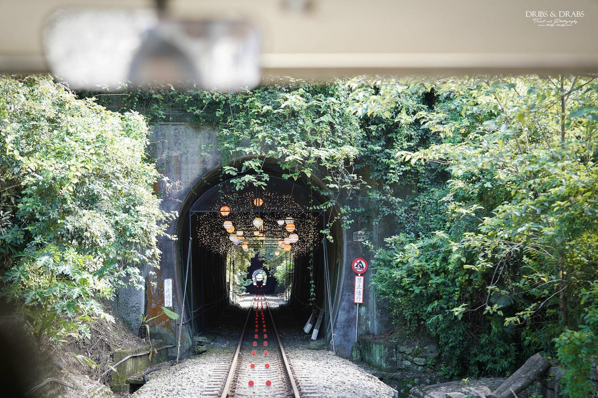 苗栗三義舊山線鐵道自行車|探訪龍騰斷橋南斷橋秘境, 鐵道迷必訪行程 - 第8張圖 苗栗三義民宿「向草語蟲」被綠意擁抱的森林小屋, 離勝興車站最近的民宿