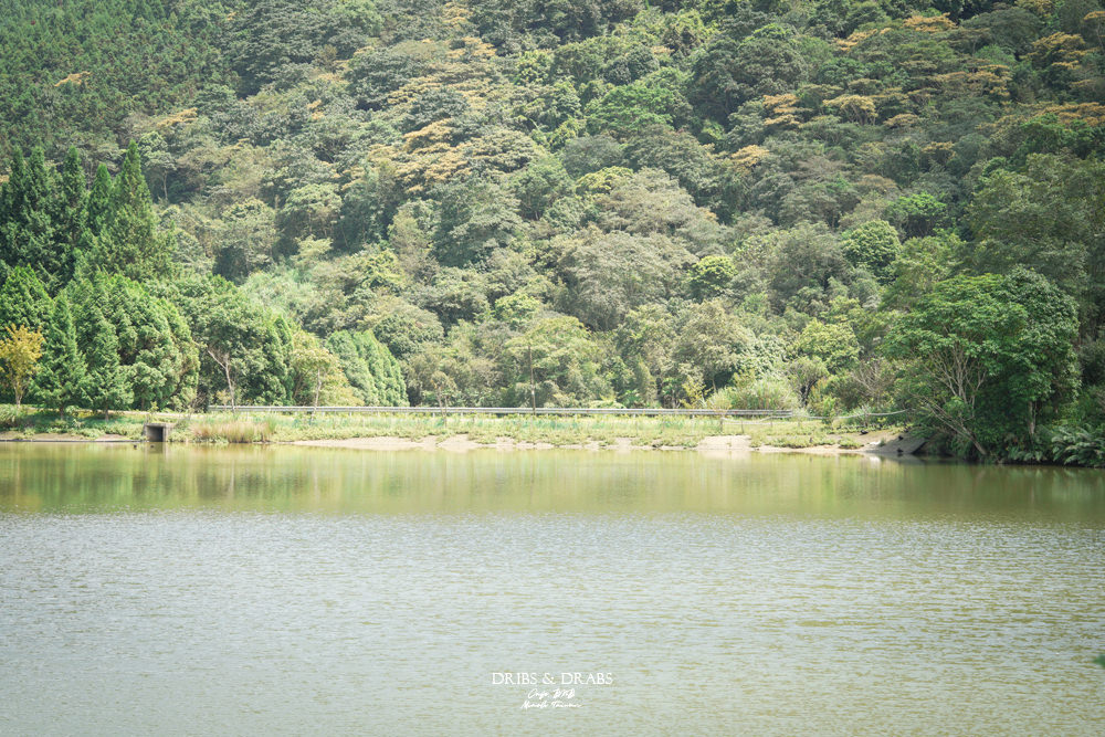 06-108 苗栗南庄向天湖咖啡民宿向天湖餐廳