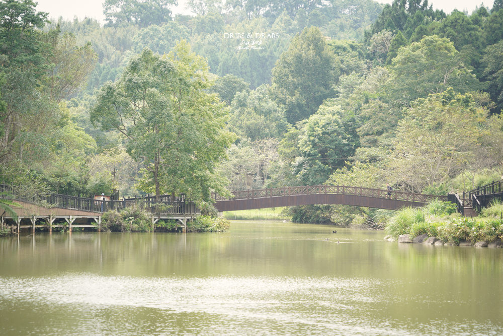 07-112 苗栗南庄向天湖咖啡民宿向天湖餐廳
