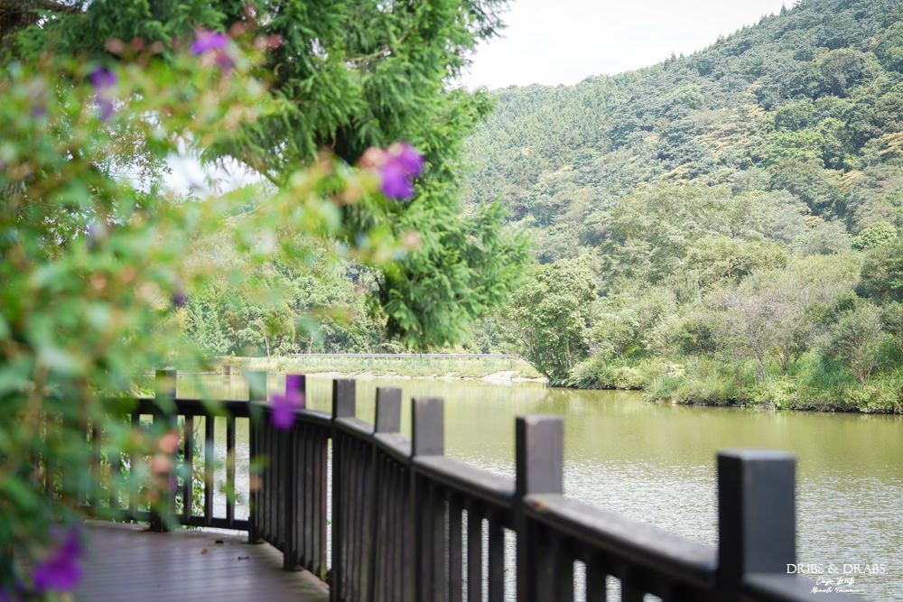 苗栗南庄向天湖咖啡民宿向天湖餐廳 苗栗南庄向天湖咖啡民宿向天湖餐廳