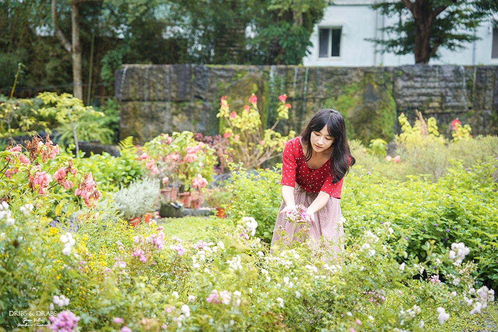 花蓮君達休閒農場/秧悦美地度假酒店, 花蓮最美度假村一泊二食香草療癒之旅, 花蓮飯店推薦住宿 - 第25張圖 花蓮君達休閒農場/秧悦美地度假酒店, 花蓮最美度假村一泊二食香草療癒之旅, 花蓮飯店推薦住宿
