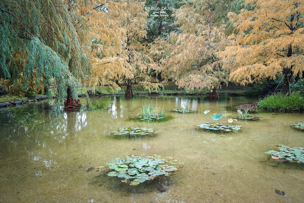花蓮君達休閒農場/秧悦美地度假酒店, 花蓮最美度假村一泊二食香草療癒之旅, 花蓮飯店推薦住宿 - 第26張圖 花蓮君達休閒農場/秧悦美地度假酒店, 花蓮最美度假村一泊二食香草療癒之旅, 花蓮飯店推薦住宿