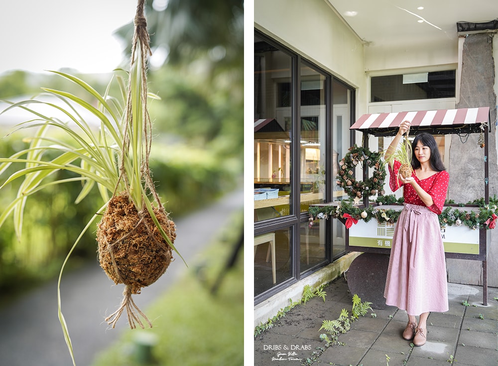 花蓮君達休閒農場/秧悦美地度假酒店, 花蓮最美度假村一泊二食香草療癒之旅, 花蓮飯店推薦住宿 - 第28張圖 花蓮君達休閒農場/秧悦美地度假酒店, 花蓮最美度假村一泊二食香草療癒之旅, 花蓮飯店推薦住宿