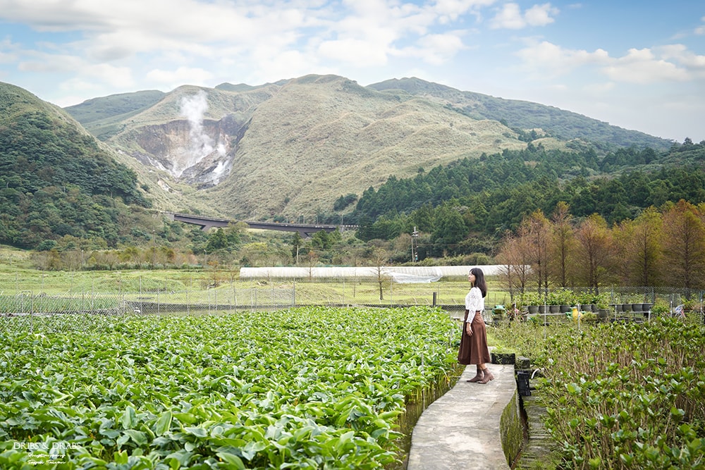 陽明山芒草季怎麼玩|秋季陽明山一日遊景點、美食、公車交通全攻略 - 第18張圖 陽明山芒草季怎麼玩|秋季陽明山一日遊景點、美食、公車交通全攻略