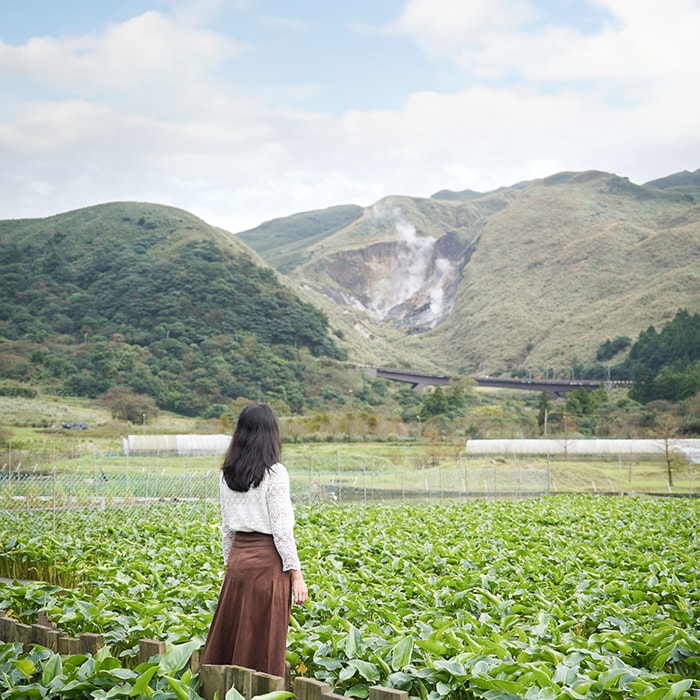 陽明山芒草季怎麼玩|秋季陽明山一日遊景點、美食、公車交通全攻略 - 第17張圖 陽明山芒草季怎麼玩|秋季陽明山一日遊景點、美食、公車交通全攻略