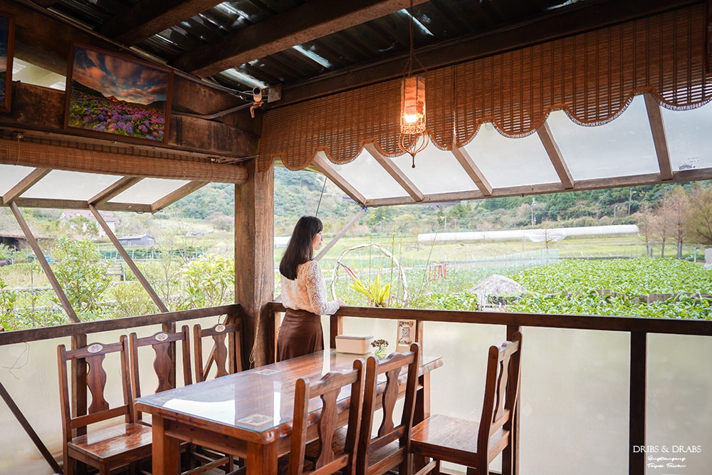 陽明山芒草季怎麼玩|秋季陽明山一日遊景點、美食、公車交通全攻略 - 第20張圖 陽明山芒草季怎麼玩|秋季陽明山一日遊景點、美食、公車交通全攻略