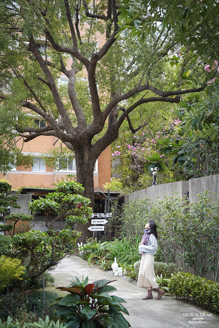 台中法式餐廳「法月」隱藏在巷弄裡的綠意玻璃屋餐廳, 當台味遇上法式料理的新滋味