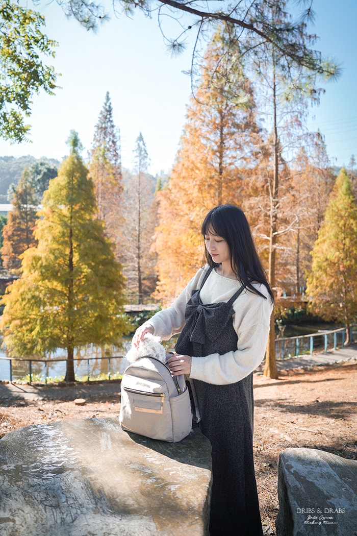satana台灣原創包包/陪我旅行四季百搭「Soldier心旅行後背包」