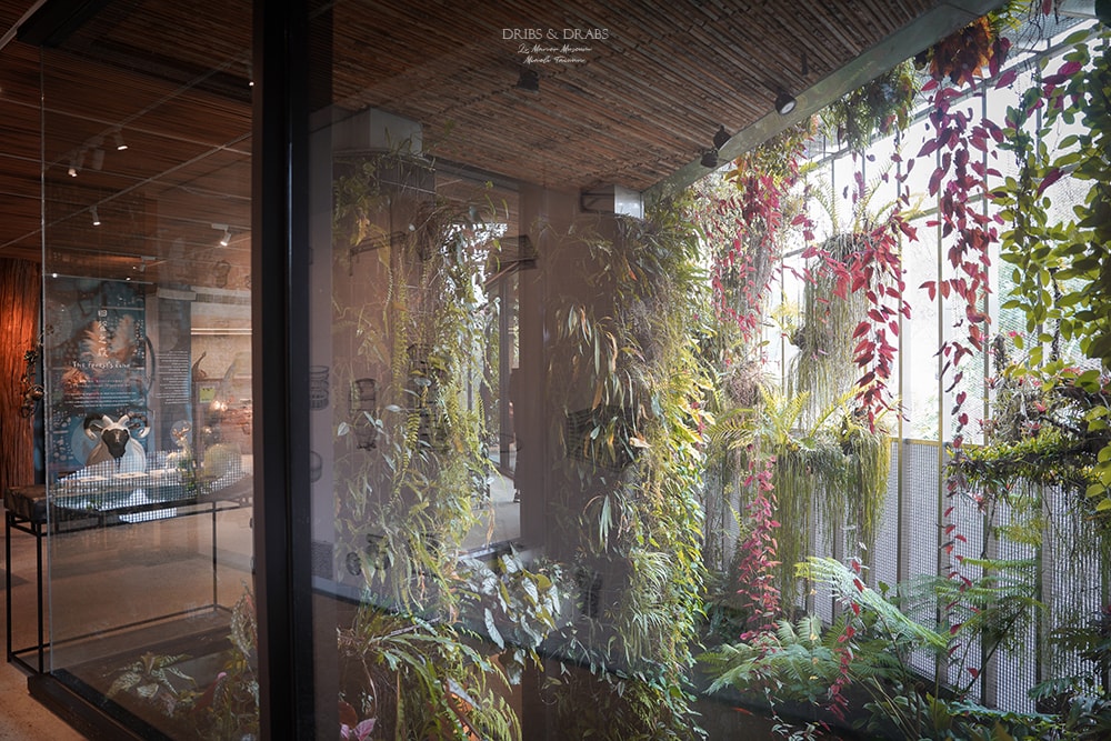 苗栗三義「櫟莊園美術館/十八藝術空間」隱身於山城的私人美術館/結合藝術、自然與建築的當代藝術空間/預約制 - 第8張圖 苗栗三義「櫟莊園美術館/十八藝術空間」隱身於山城的私人美術館/結合藝術、自然與建築的當代藝術空間/預約制