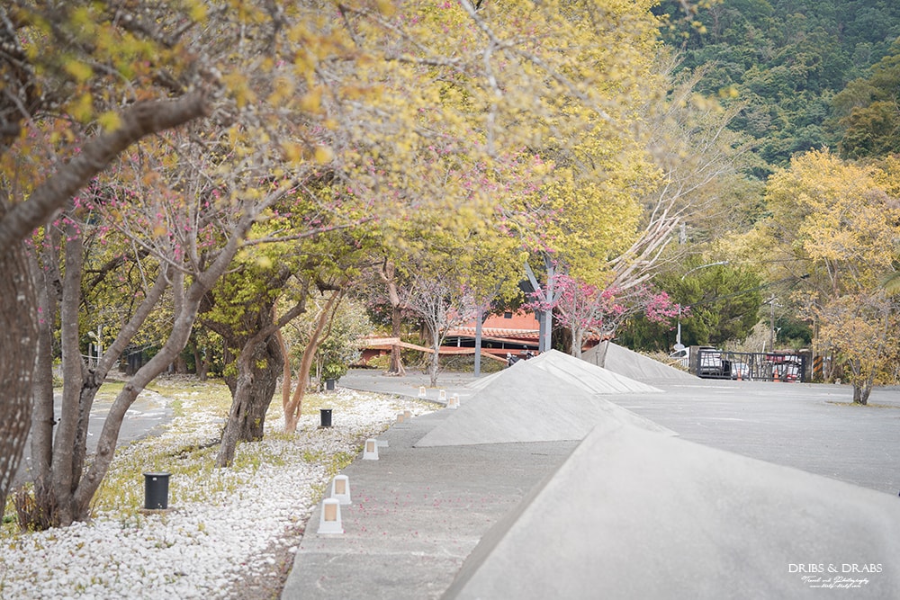 新竹橫山走走 | 在地人帶路橫山一日遊新玩法, 野草香氣之療癒鐵道旅程