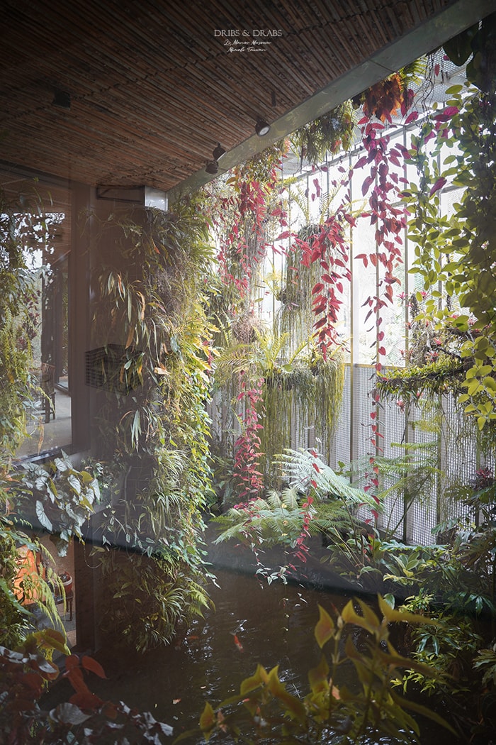 苗栗三義「櫟莊園美術館/十八藝術空間」隱身於山城的私人美術館/結合藝術、自然與建築的當代藝術空間/預約制 - 第9張圖 苗栗三義「櫟莊園美術館/十八藝術空間」隱身於山城的私人美術館/結合藝術、自然與建築的當代藝術空間/預約制