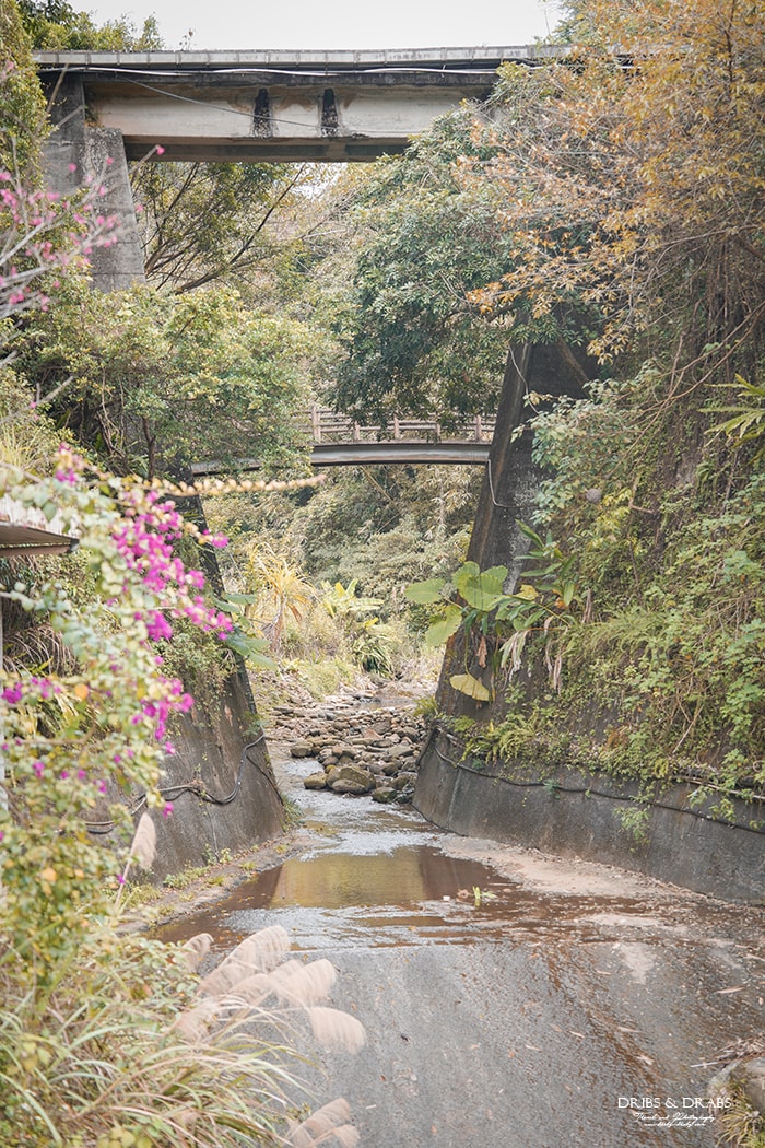 新竹橫山走走 | 在地人帶路橫山一日遊新玩法, 野草香氣之療癒鐵道旅程