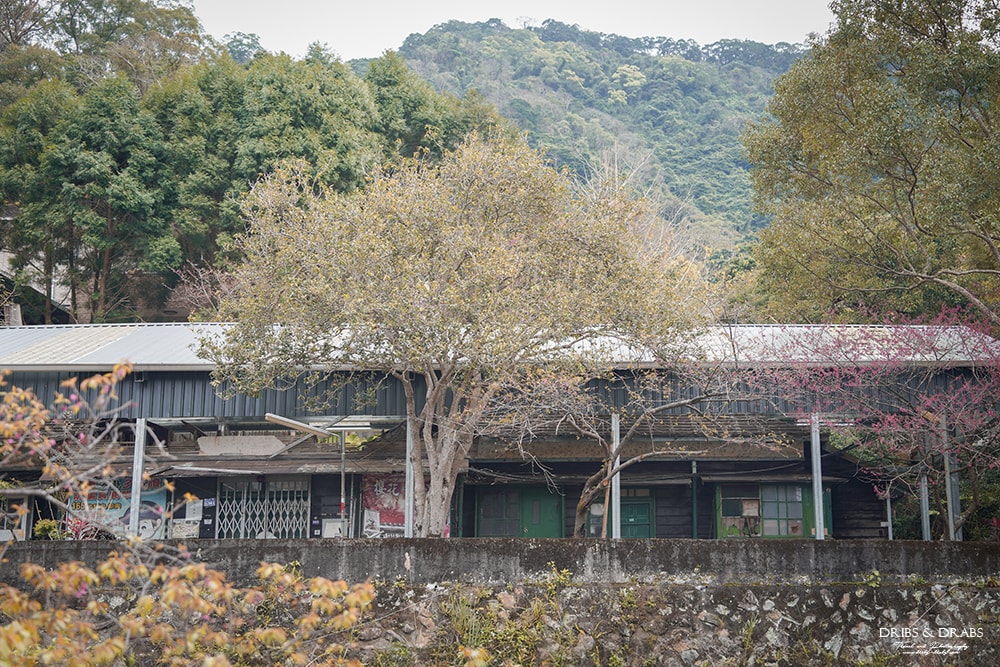 新竹橫山走走 | 在地人帶路橫山一日遊新玩法, 野草香氣之療癒鐵道旅程