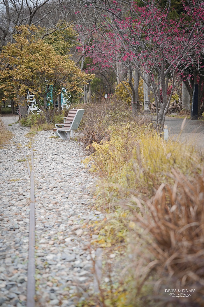 新竹橫山走走 | 在地人帶路橫山一日遊新玩法, 野草香氣之療癒鐵道旅程