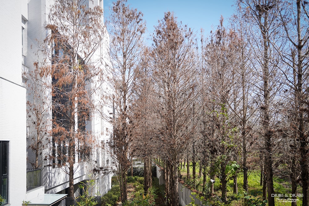 嘉義咖啡廳「泰勒瓦生活 Terroir La Vie」結合建築美學與藝廊展覽的靜謐咖啡館 - 第21張圖 嘉義咖啡廳「泰勒瓦生活 Terroir La Vie」結合建築美學與藝廊展覽的靜謐咖啡館