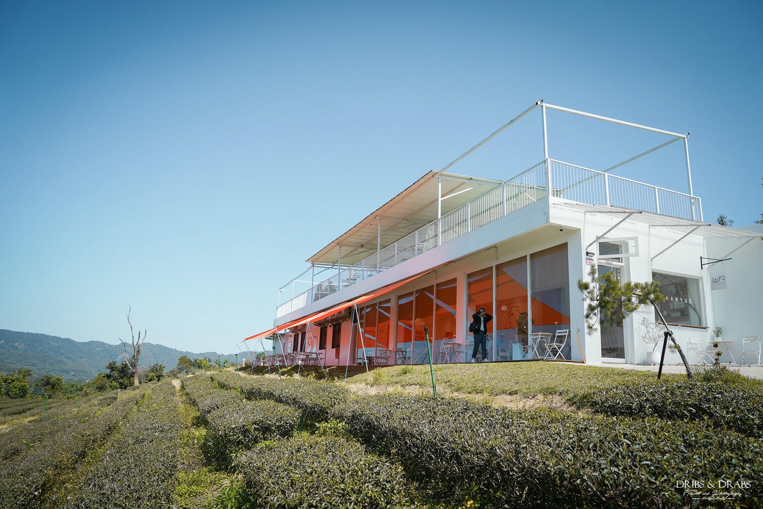 桃園復興「景美山林茶園&山月茶屋」擁有絕美山陵線的茶園景觀餐廳, 以茶為核心的品茗空間