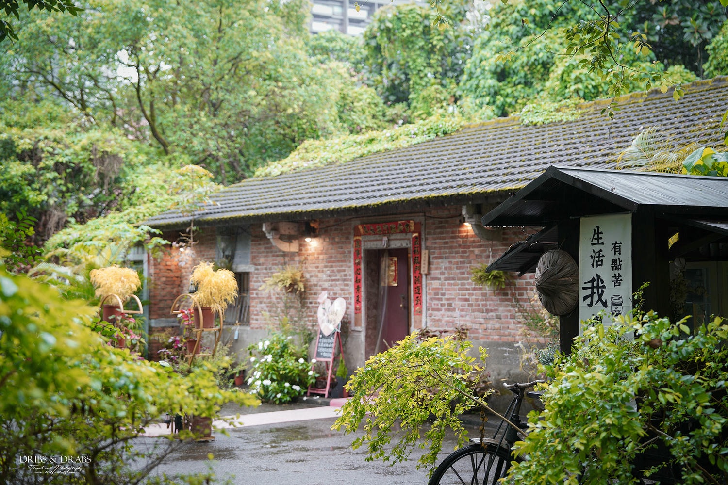 宜蘭礁溪美食「陋室銘神粥府」一位難求的預約制森林老宅餐廳, 浮誇系砂鍋粥與神秘的能量體驗