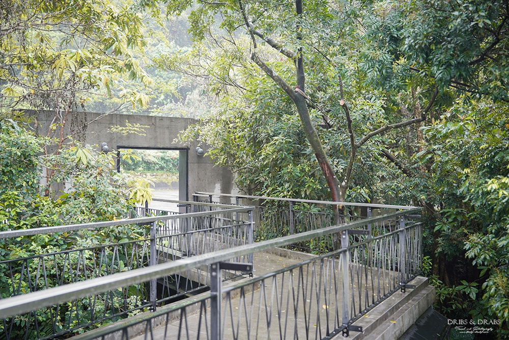 宜蘭冬山「三富休閒農場/紫森林」住在森林裡之清水模建築民宿, 沒有蚊子的生態農場, 寵物友善住宿 - 第3張圖 宜蘭冬山「三富休閒農場/紫森林」二訪清水模建築森林民宿, 無蚊生態園區與寵物友善住宿