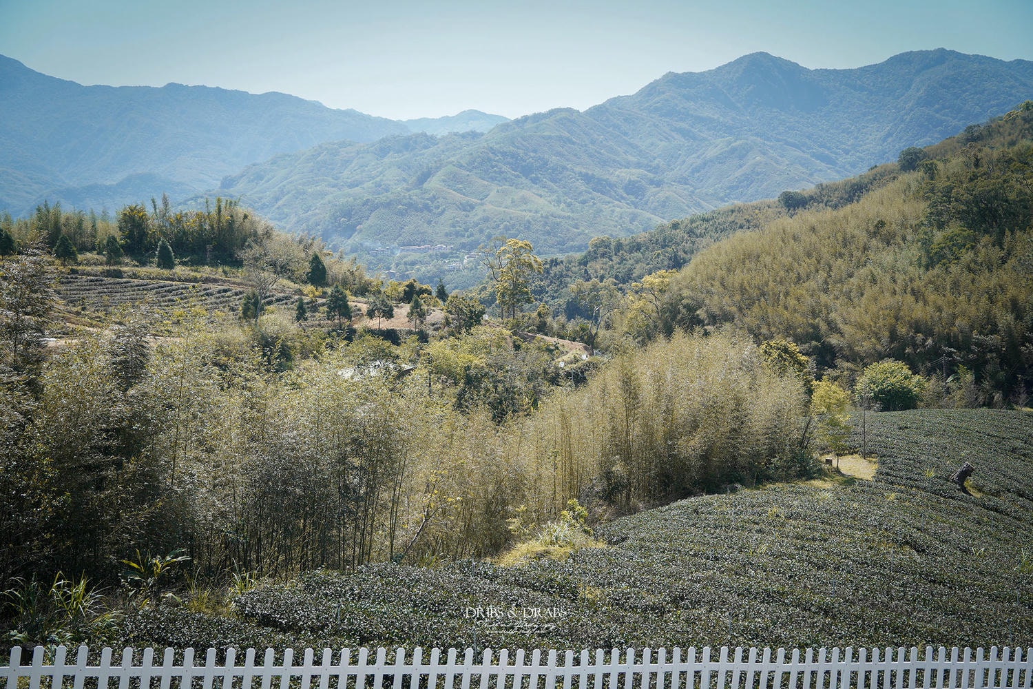 桃園復興「景美山林茶園&山月茶屋」擁有絕美山陵線的茶園景觀餐廳, 以茶為核心的品茗空間