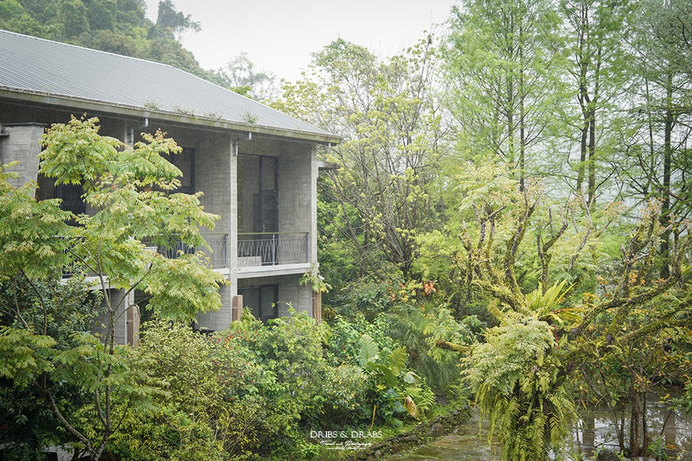 宜蘭冬山「三富休閒農場/紫森林」住在森林裡之清水模建築民宿, 沒有蚊子的生態農場, 寵物友善住宿