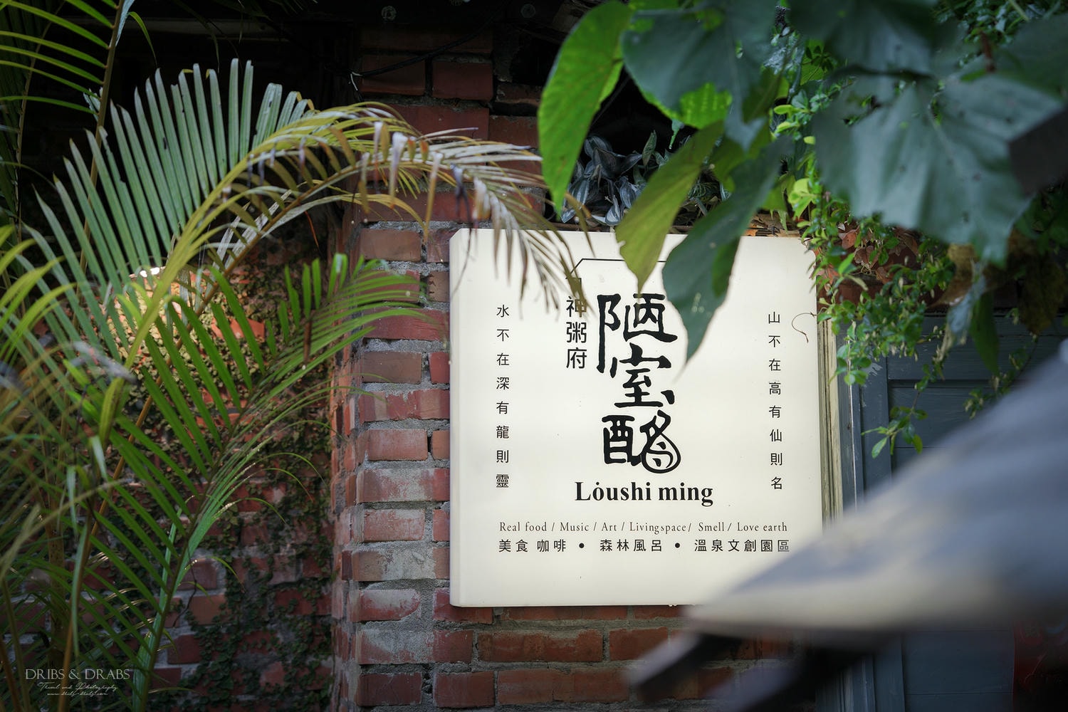宜蘭礁溪美食「陋室銘神粥府」一位難求的預約制森林老宅餐廳, 浮誇系砂鍋粥與神秘的能量體驗